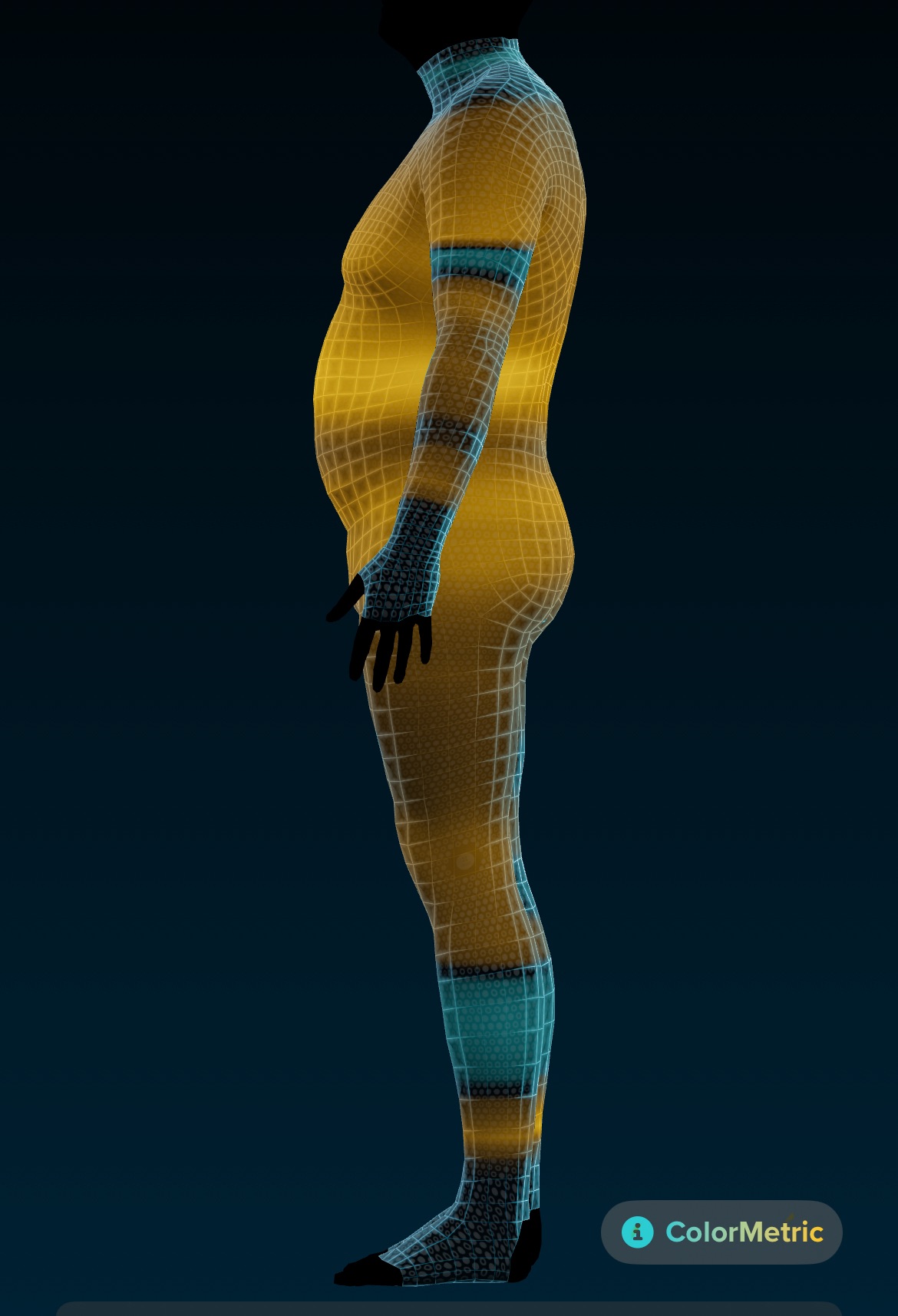 Body scan showing exactly how the butter distributed itself over my body during the summer. 